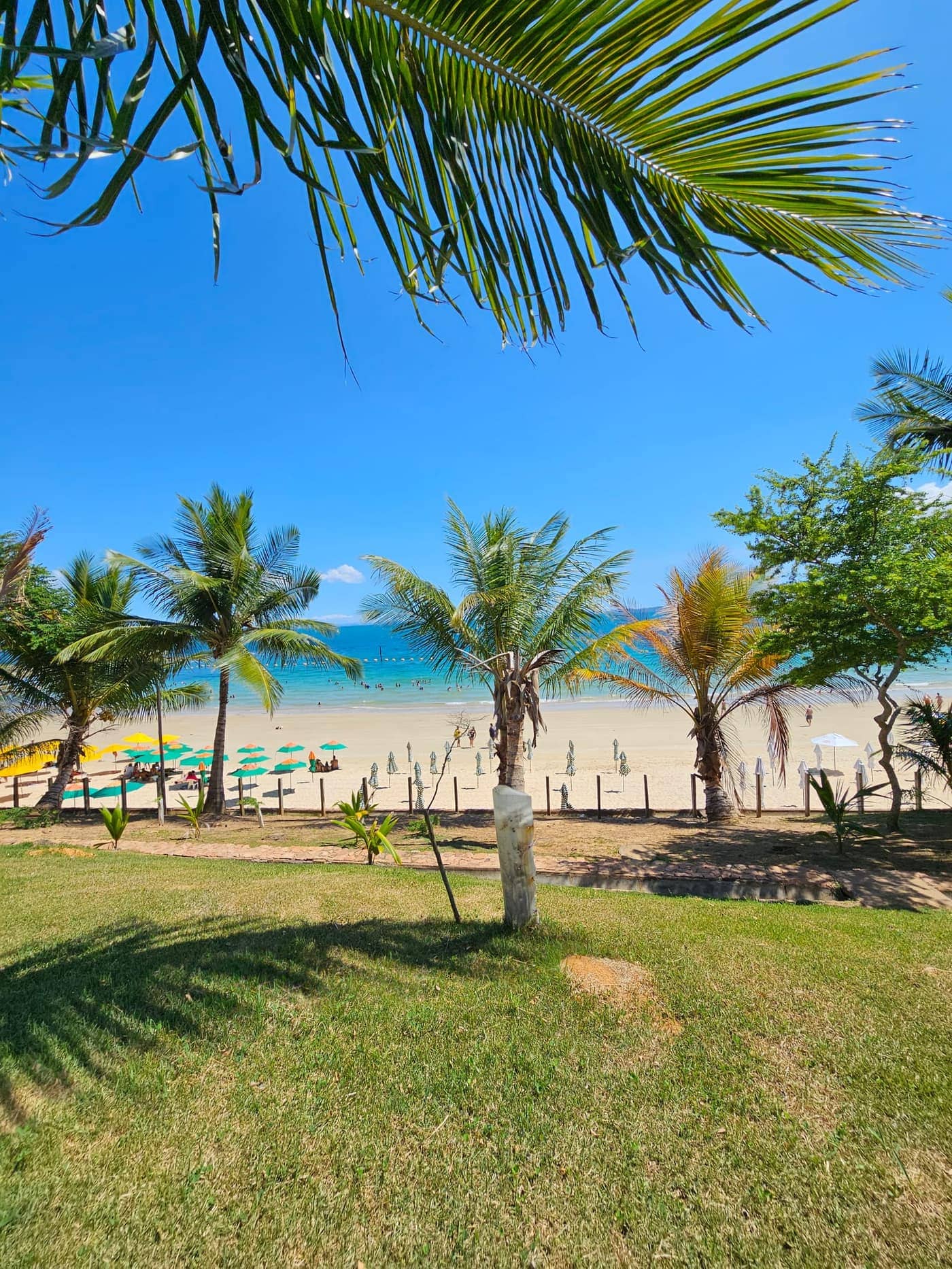 Praia paradisíaca da Ilha dos Frades com águas cristalinas turquesa, areia branca e vegetação tropical